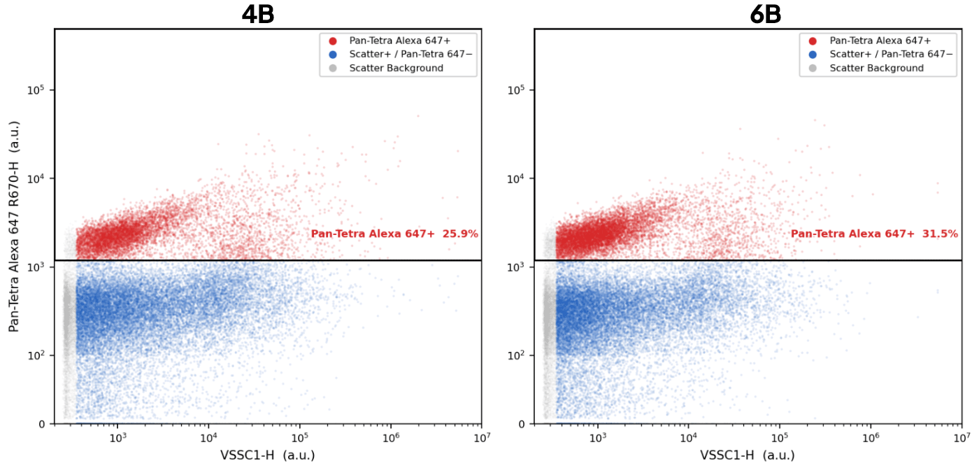 Single-particle flow cytometry scatter plots of pan-tetraspanin (Pan-Tetra Alexa 647+) EVs for Apex 4B (4B1) and 6B (6B1) isolates