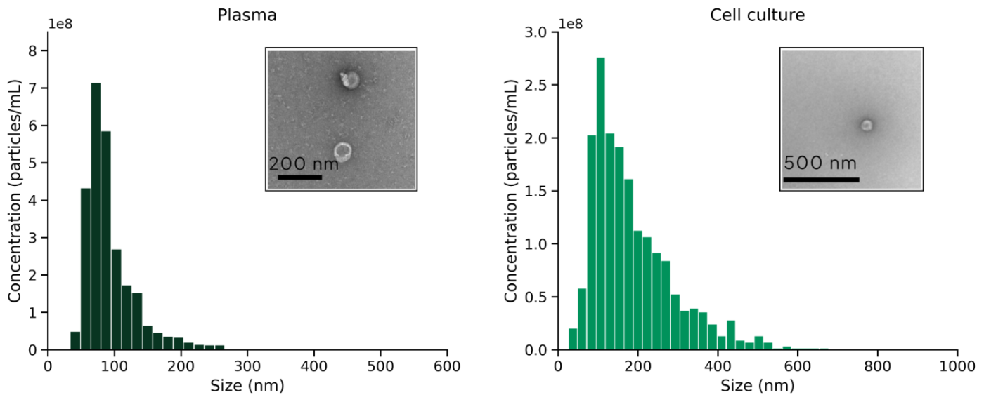 NTA size distributions with TEM insets for plasma and cell-culture EVs