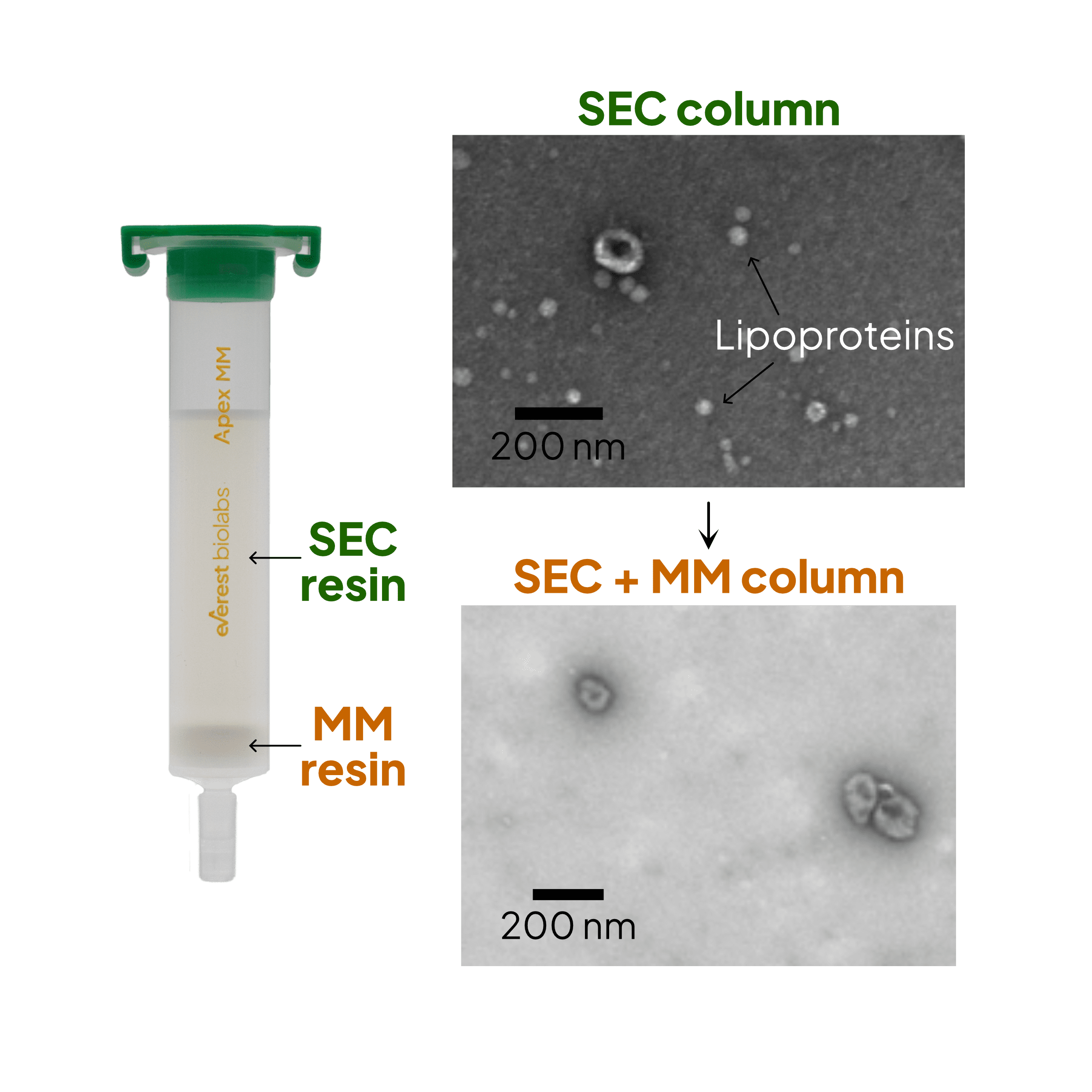 Apex MM column with SEC resin above multi-mode resin; TEM comparison showing lipoproteins present with SEC alone and cleared with SEC + MM