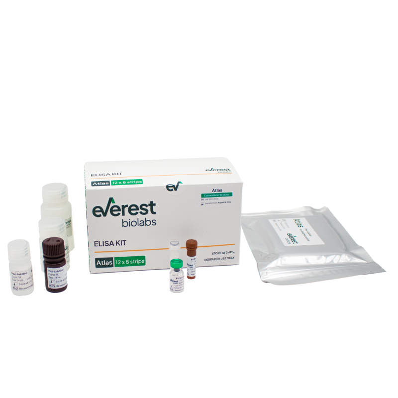 Atlas Human EV ELISA Kit