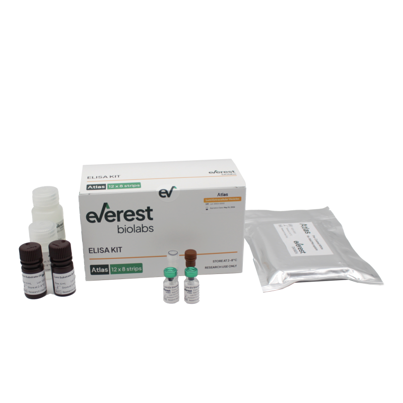 Atlas Lumi Human EV ELISA Kit